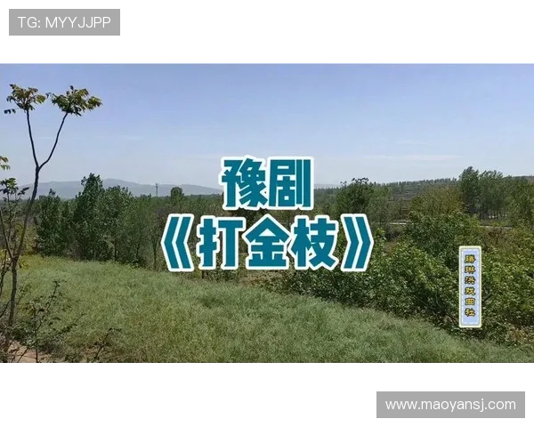 闊╁獟鍔涜崘鐢冲彴榫欐墽鏁欏浗瓒筹細鏇捐浼婁竾鍑昏触锛岃兘鍚︽墦鐮磋川鐤戯紵